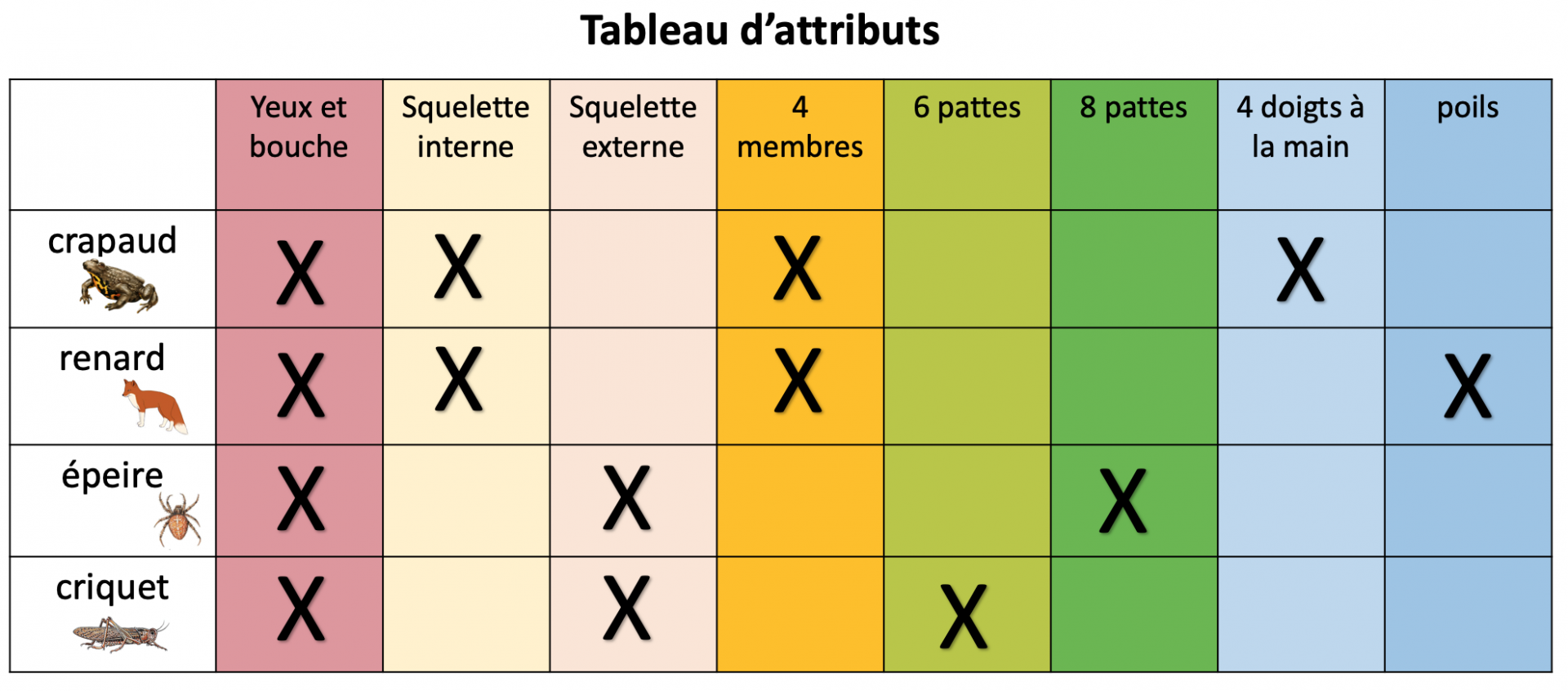 Activité 2 Lire Et Construire La Classification Scientifique